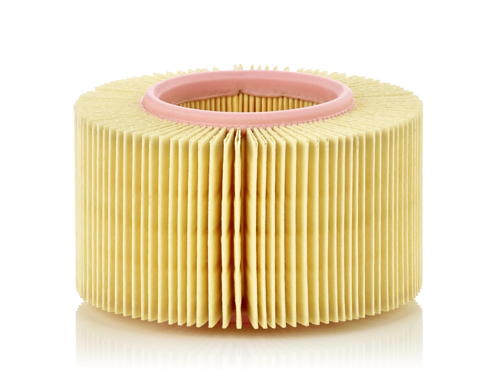 Air Filter C 1552