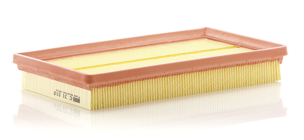 Air Filter C 31 012