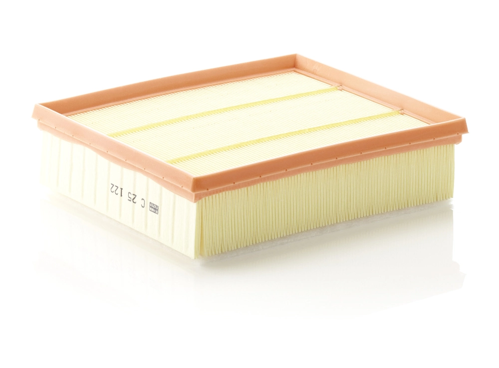 Air Filter C 25 122
