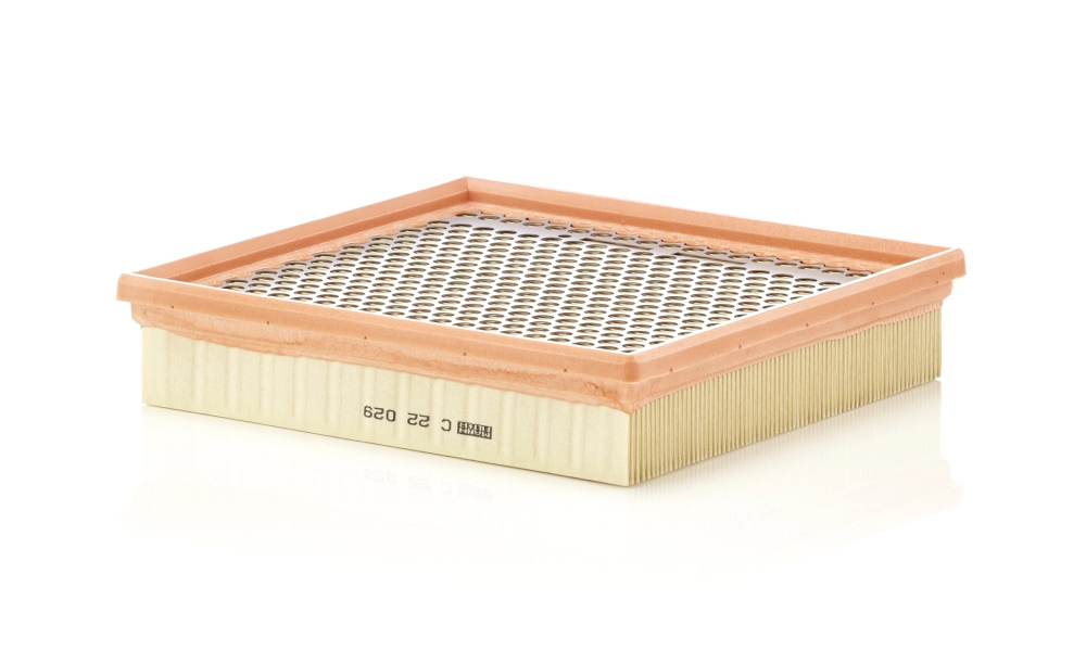 Air Filter C 22 029