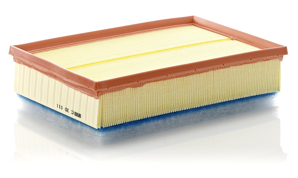 Air Filter C 30 011