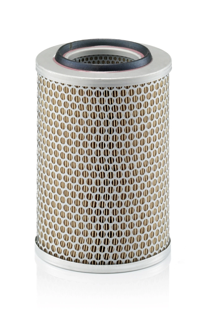 Air Filter C 17 201