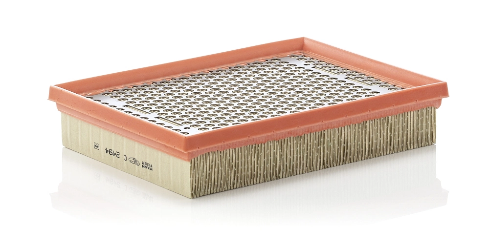 Air Filter C 2494