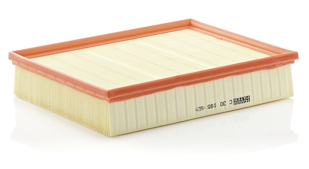 Air Filter C 30 195