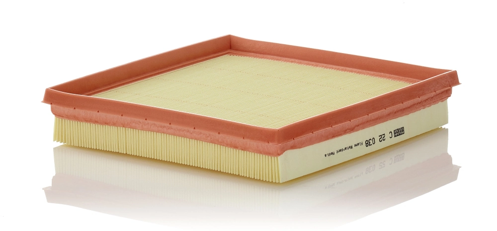 Air Filter C 22 038