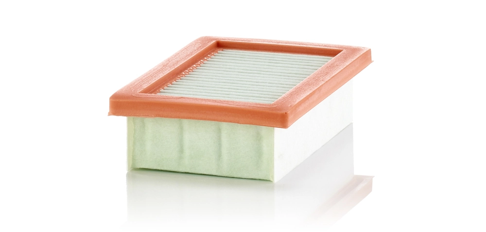 Air Filter C 22 033/1