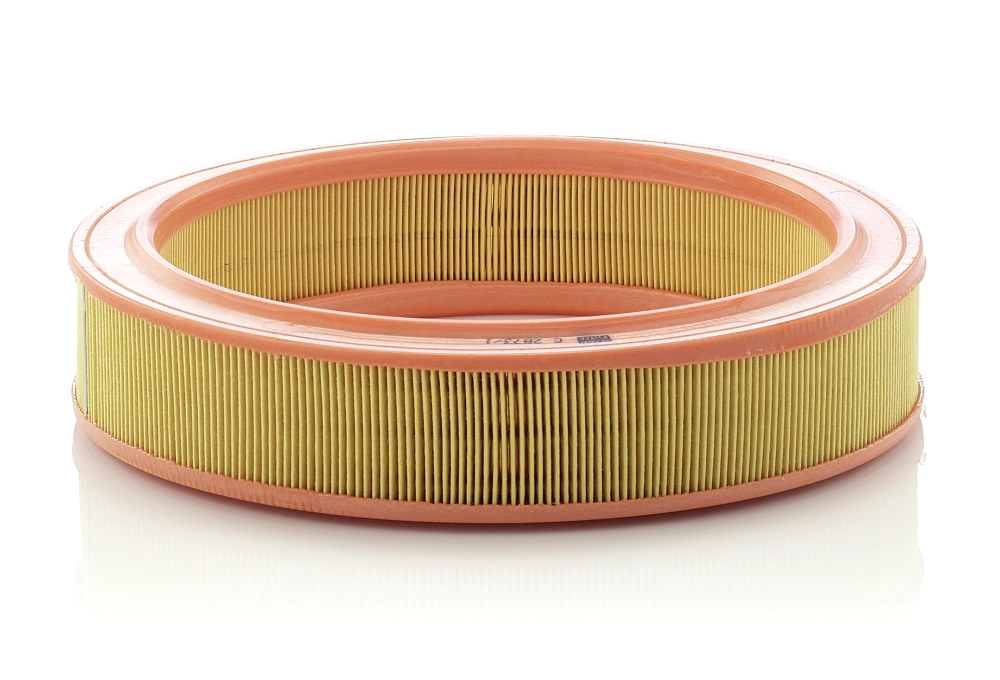 Air Filter C 2873/1