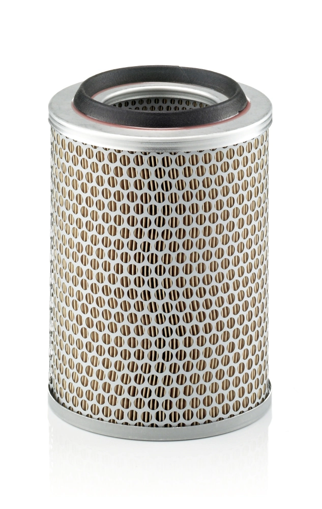 Air Filter C 17 217