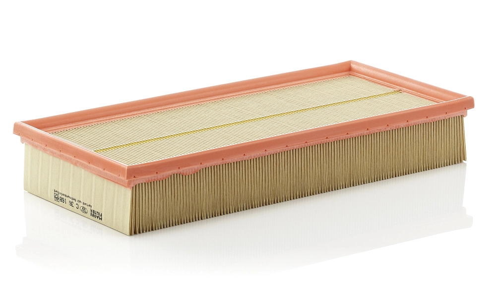 Air Filter C 36 168