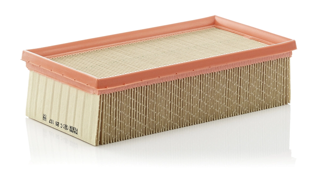 Air Filter C 26 107