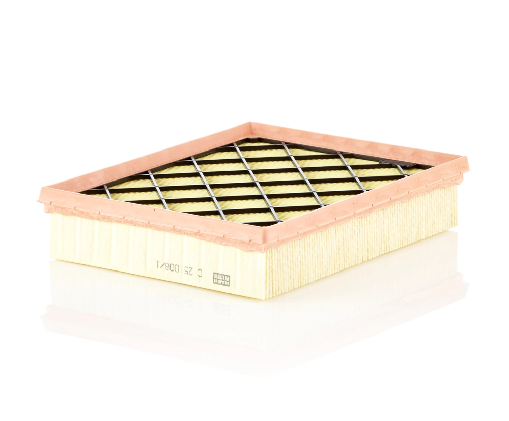 Air Filter C 25 008/1
