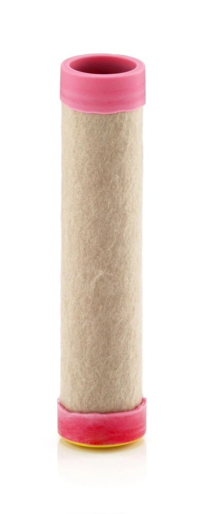 Secondary Air Filter EUROPICLON CF 100