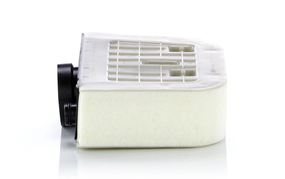 Air Filter C 38 011