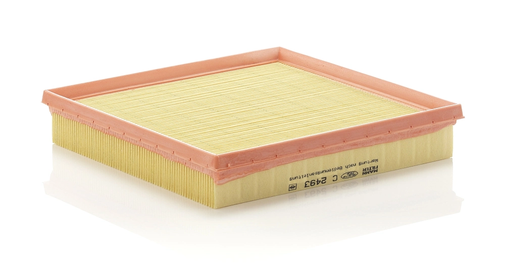 Air Filter C 2493