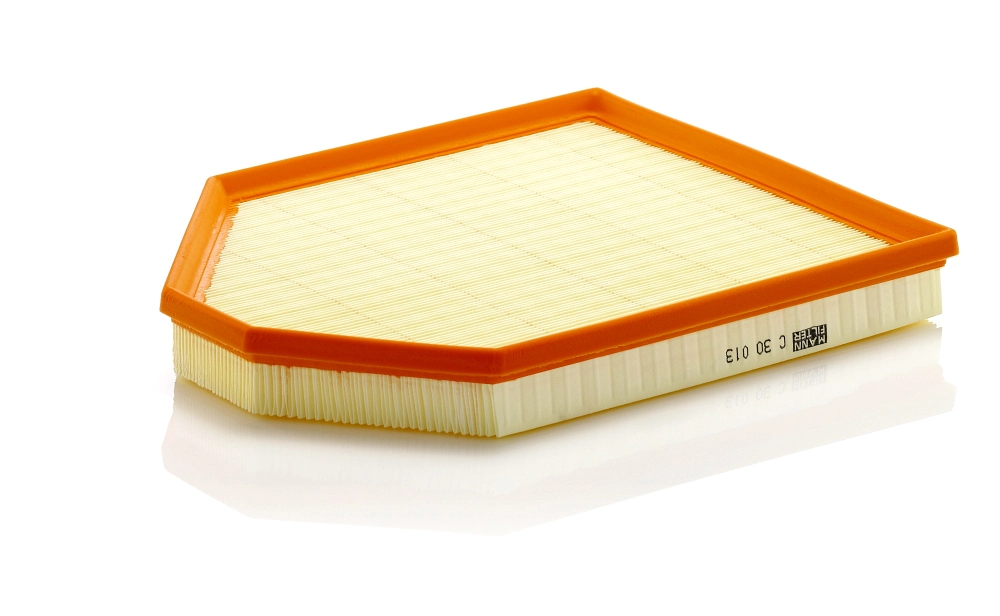 Air Filter C 30 013