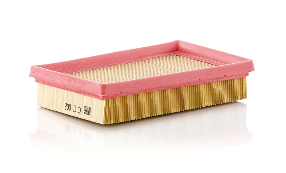 Air Filter C 17 008
