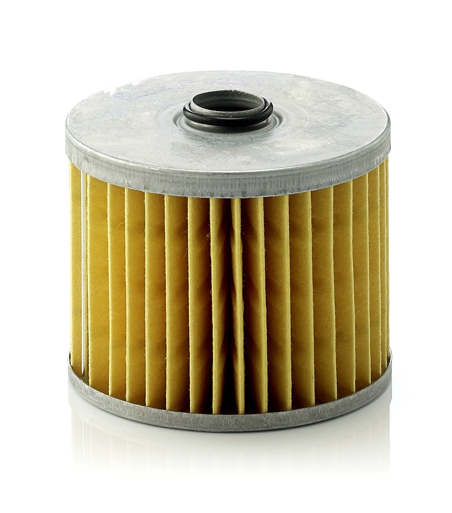 Fuel Filter P 923/1 x