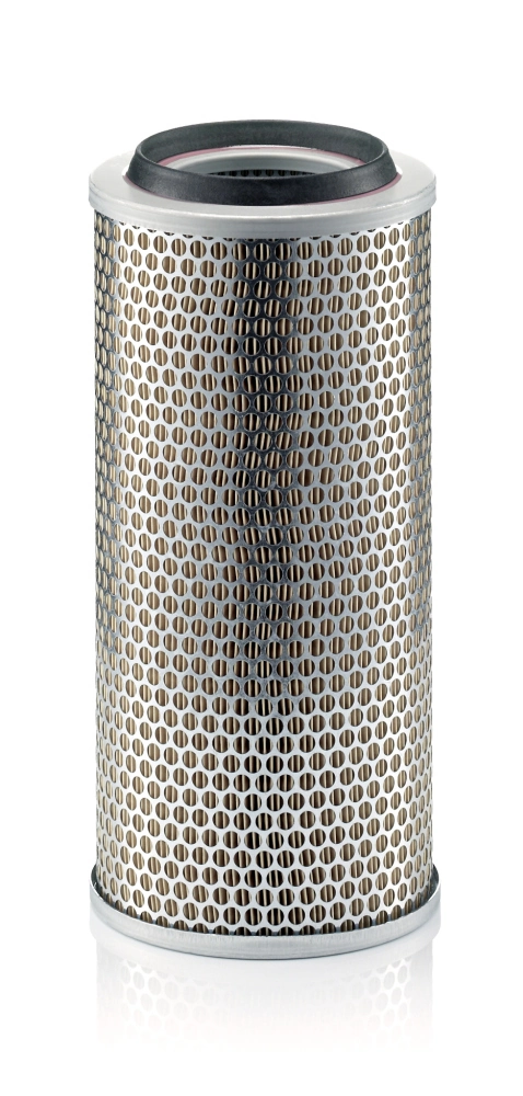 Air Filter Piclon C 17 225/3