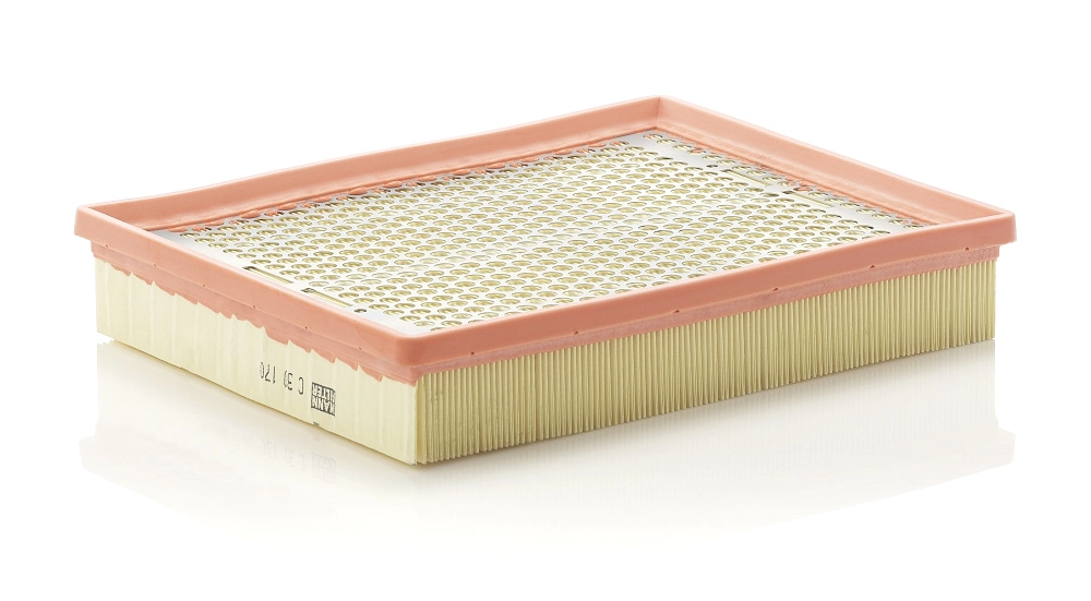 Air Filter C 30 170
