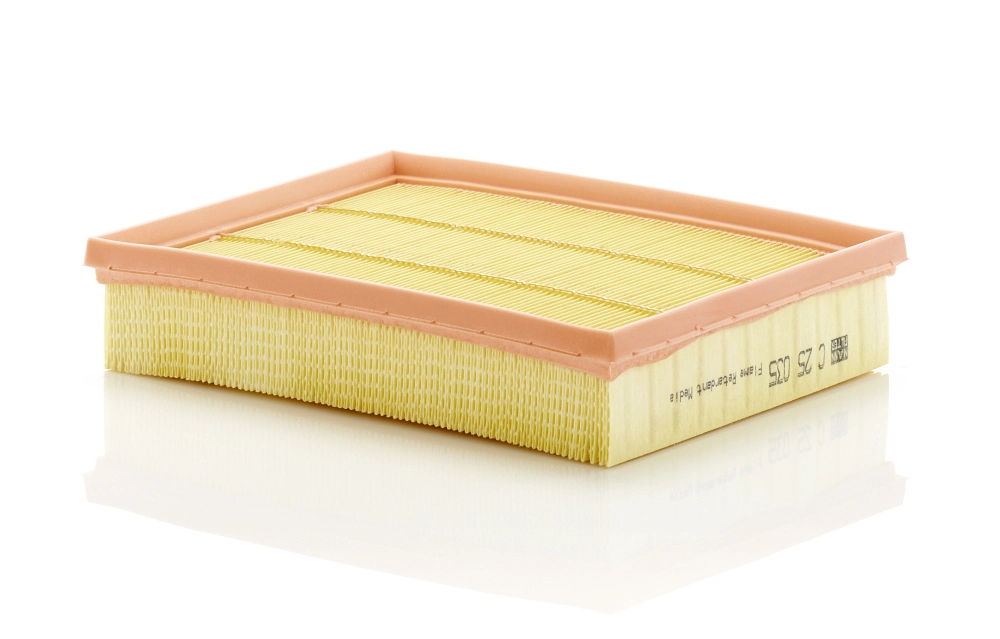 Air Filter C 25 035