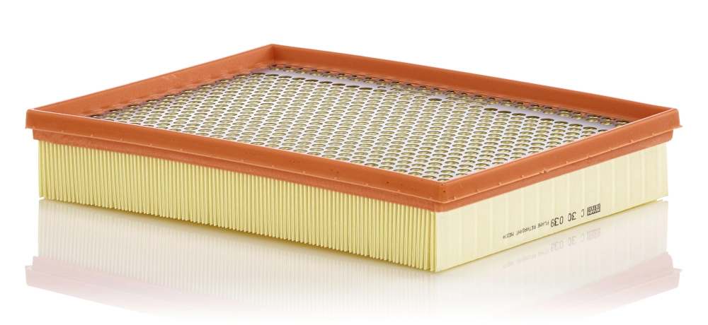 Air Filter C 30 039