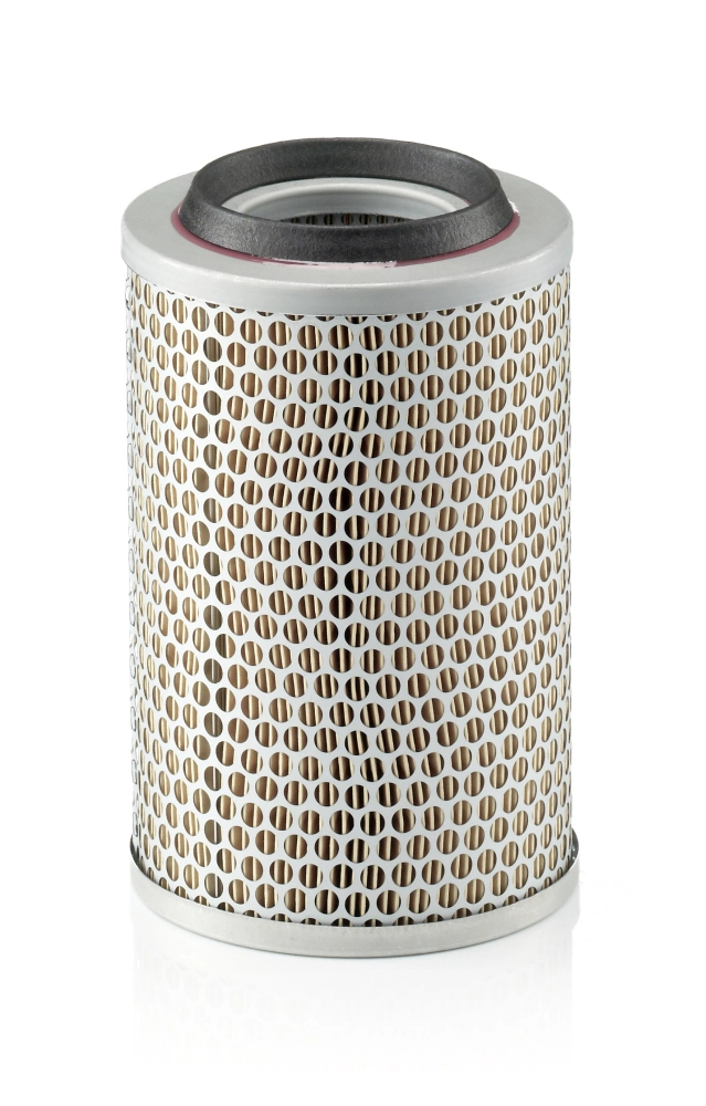 Air Filter C 15 127