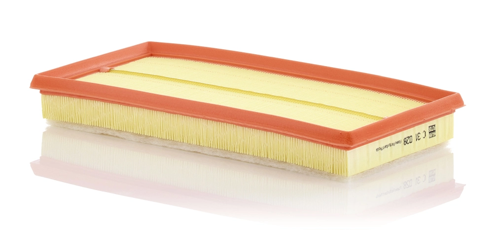 Air Filter C 31 028