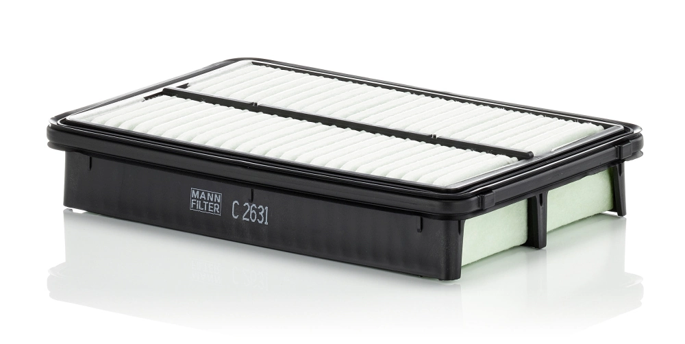 Air Filter C 2631