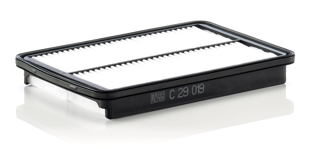 Air Filter C 29 019