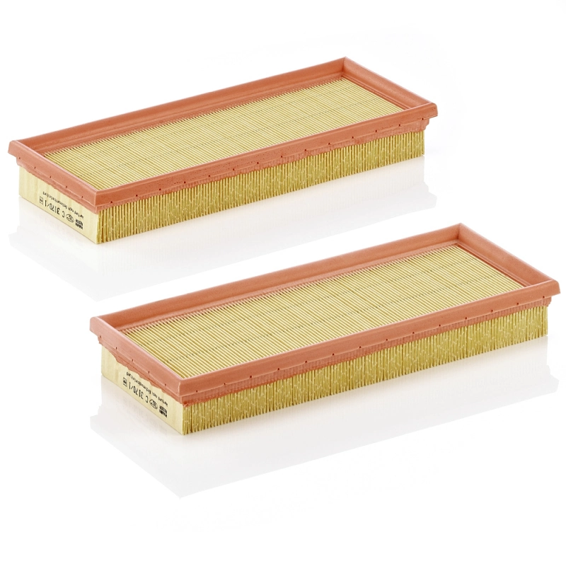 Air Filter C 3170/1-2