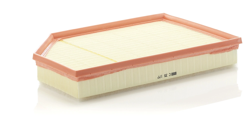 Air Filter C 35 177