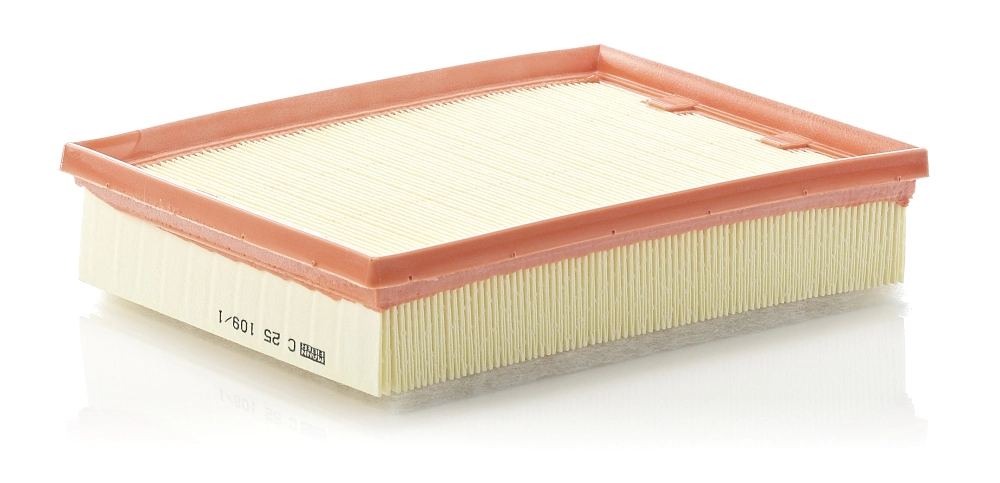 Air Filter C 25 109/1