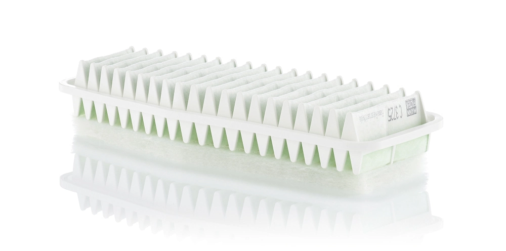 Air Filter C 3725