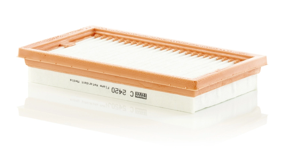 Air Filter C 2420