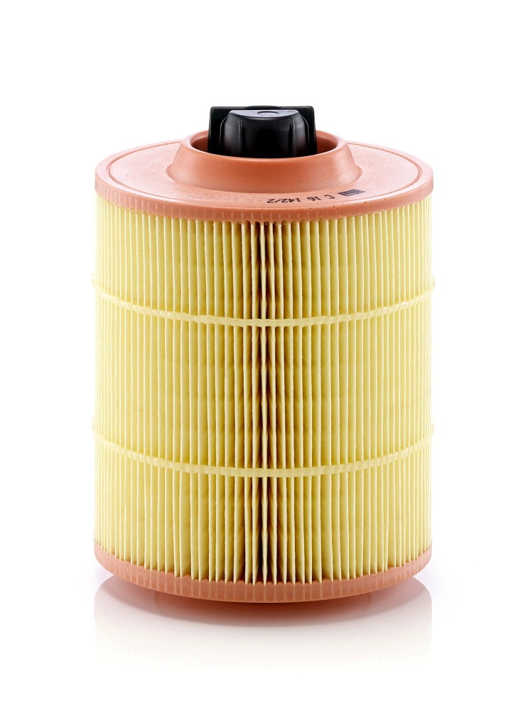 Air Filter C 16 142/2
