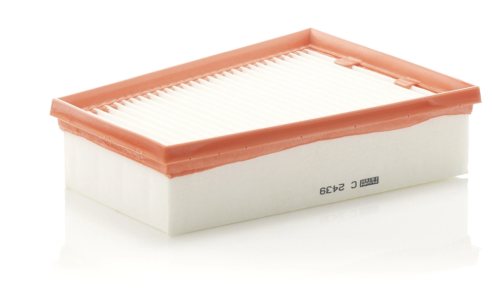 Air Filter C 2439