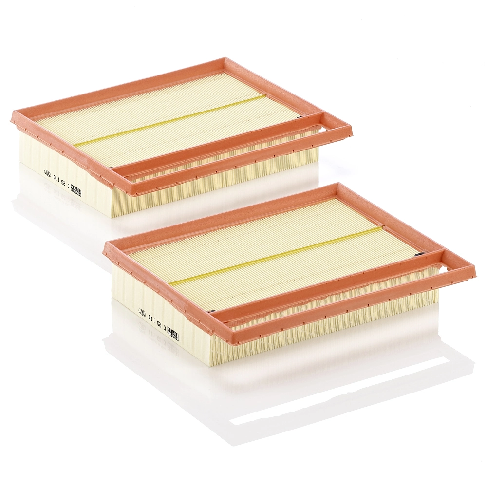 Air Filter C 25 110-2