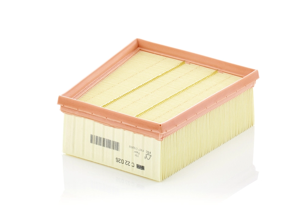Air Filter C 22 026