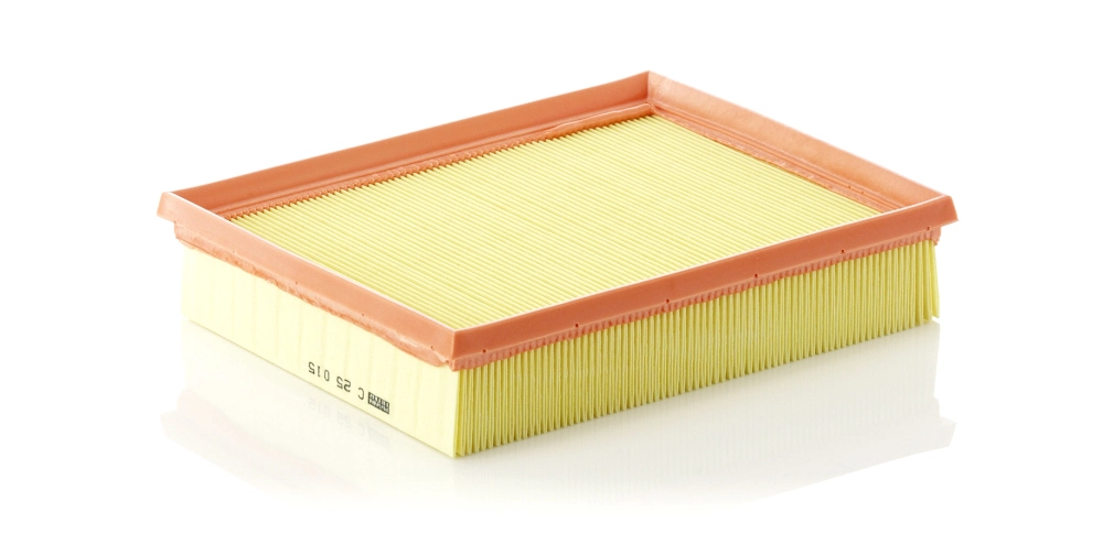 Air Filter C 25 015