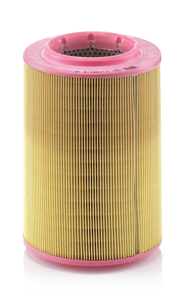 Air Filter C 17 201/3
