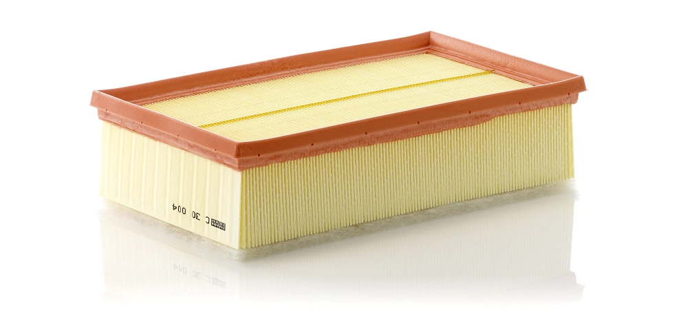 Air Filter C 30 004