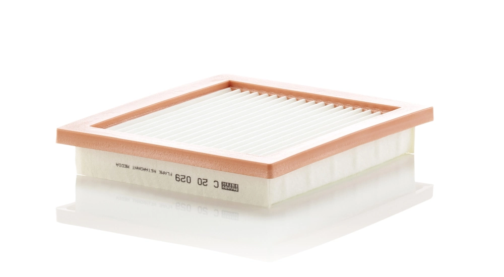 Air Filter C 20 029