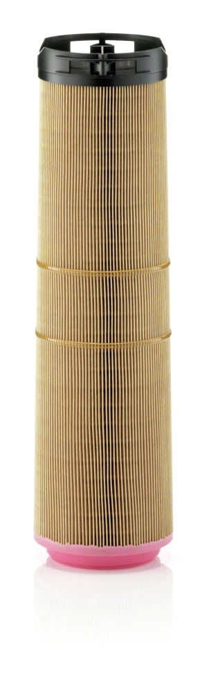 Air Filter C 12 178/1