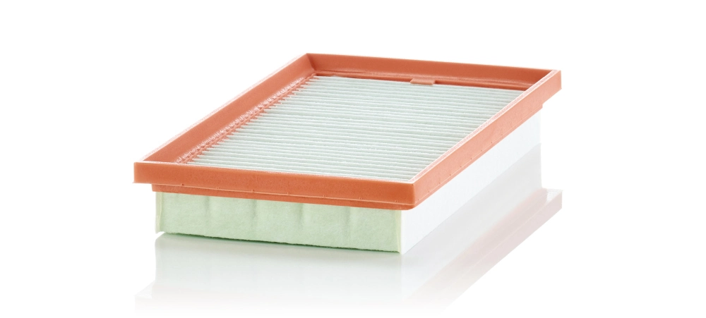 Air Filter C 3233/1
