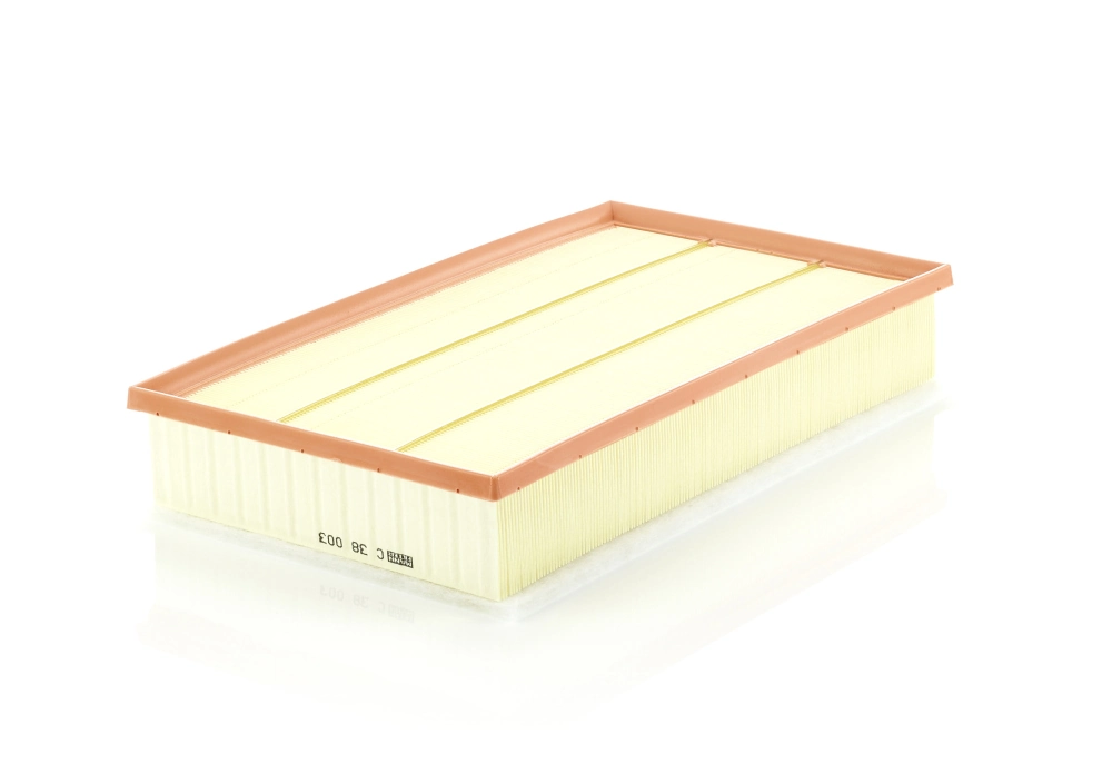 Air Filter C 38 003