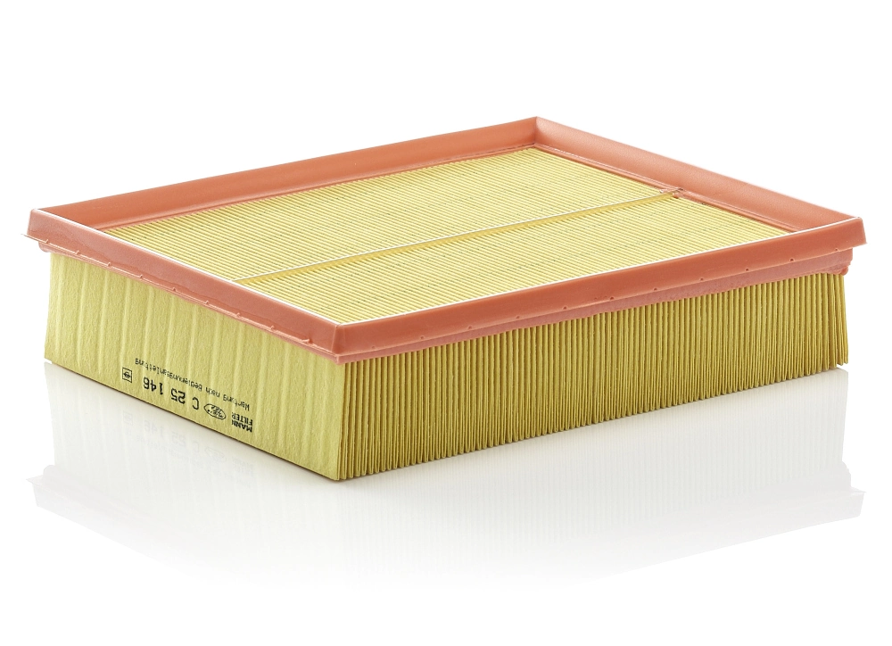 Air Filter C 25 146