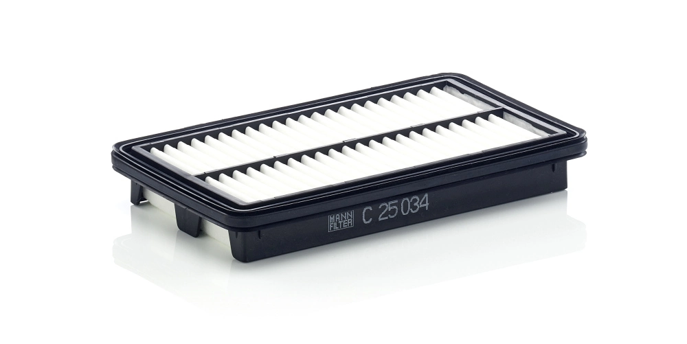 Air Filter C 25 034