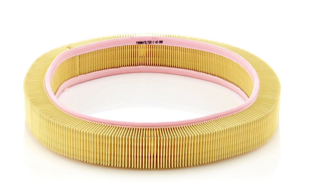 Air Filter C 42 098