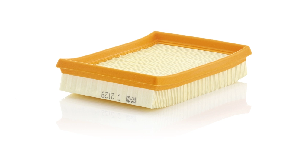 Air Filter C 2129