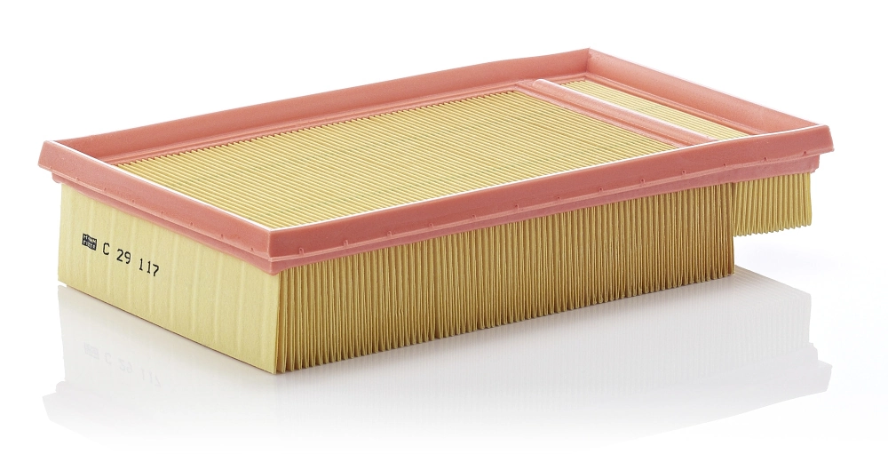 Air Filter C 29 117